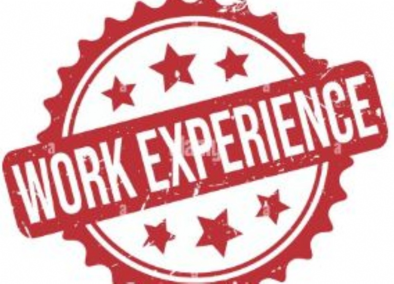 Work experience logo